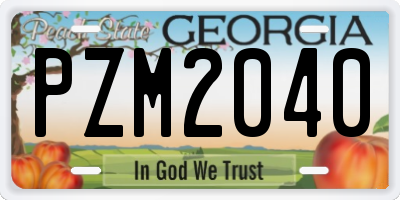 GA license plate PZM2040