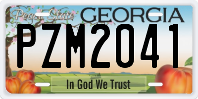 GA license plate PZM2041