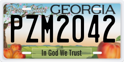 GA license plate PZM2042