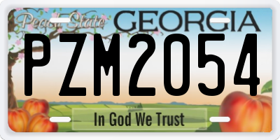 GA license plate PZM2054
