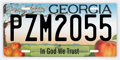 GA license plate PZM2055