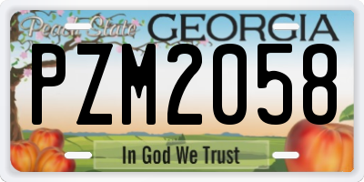 GA license plate PZM2058