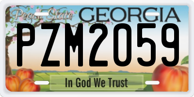 GA license plate PZM2059