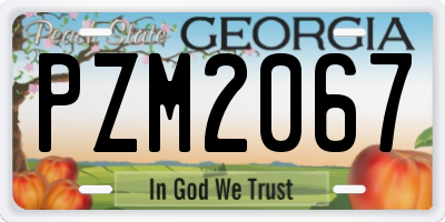GA license plate PZM2067
