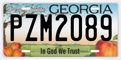 GA license plate PZM2089