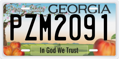 GA license plate PZM2091
