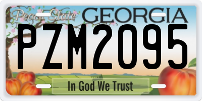 GA license plate PZM2095