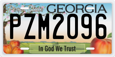 GA license plate PZM2096