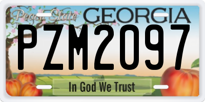 GA license plate PZM2097