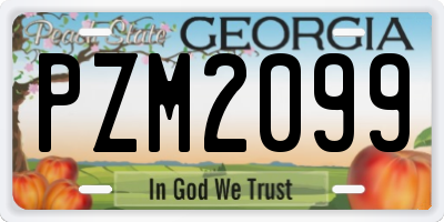 GA license plate PZM2099