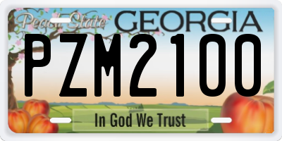 GA license plate PZM2100