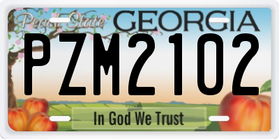 GA license plate PZM2102