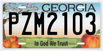GA license plate PZM2103