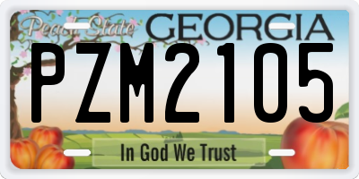 GA license plate PZM2105