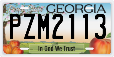 GA license plate PZM2113