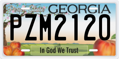 GA license plate PZM2120