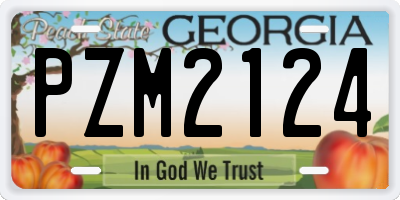 GA license plate PZM2124