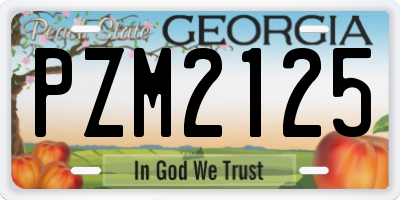 GA license plate PZM2125