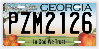 GA license plate PZM2126