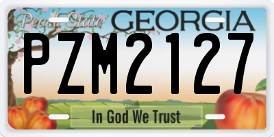 GA license plate PZM2127