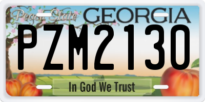 GA license plate PZM2130