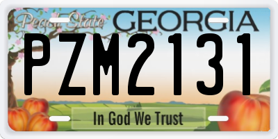 GA license plate PZM2131