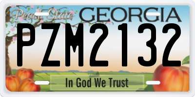 GA license plate PZM2132