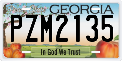 GA license plate PZM2135