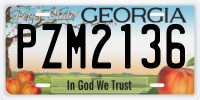 GA license plate PZM2136