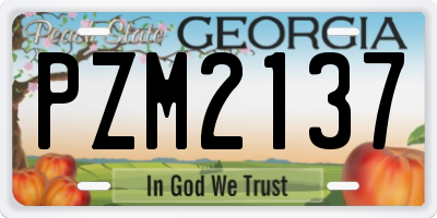 GA license plate PZM2137