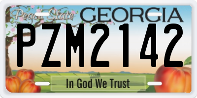 GA license plate PZM2142