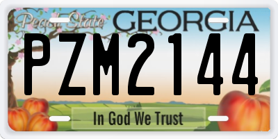 GA license plate PZM2144