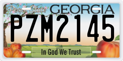 GA license plate PZM2145