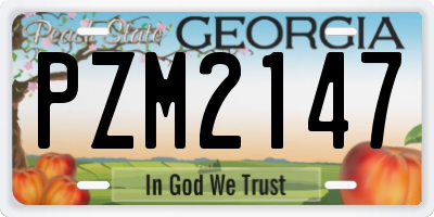 GA license plate PZM2147