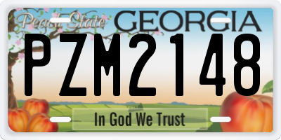 GA license plate PZM2148