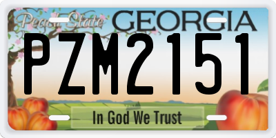 GA license plate PZM2151