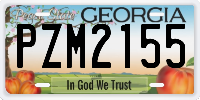 GA license plate PZM2155
