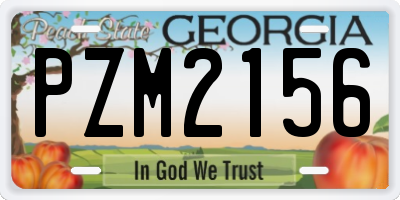 GA license plate PZM2156