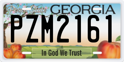 GA license plate PZM2161