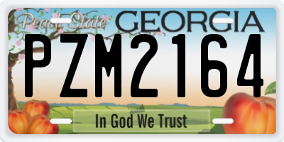 GA license plate PZM2164