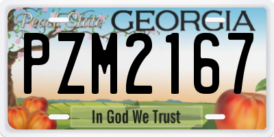 GA license plate PZM2167