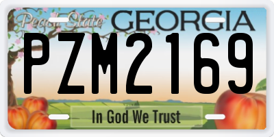 GA license plate PZM2169