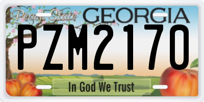 GA license plate PZM2170
