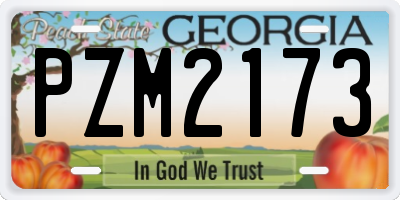 GA license plate PZM2173