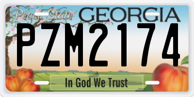 GA license plate PZM2174
