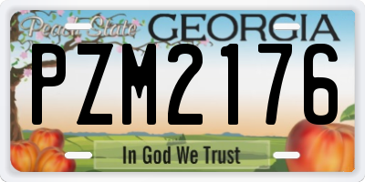 GA license plate PZM2176