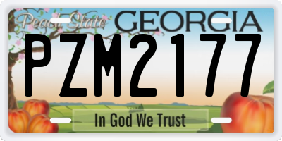 GA license plate PZM2177