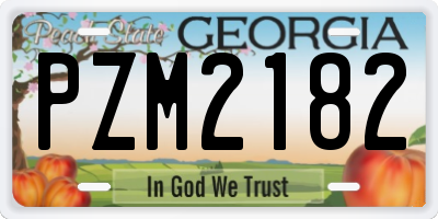 GA license plate PZM2182