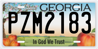 GA license plate PZM2183