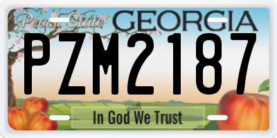 GA license plate PZM2187